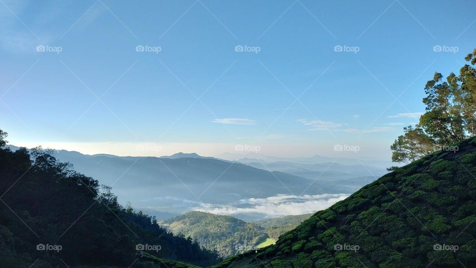 “Choose only one master—nature.” –