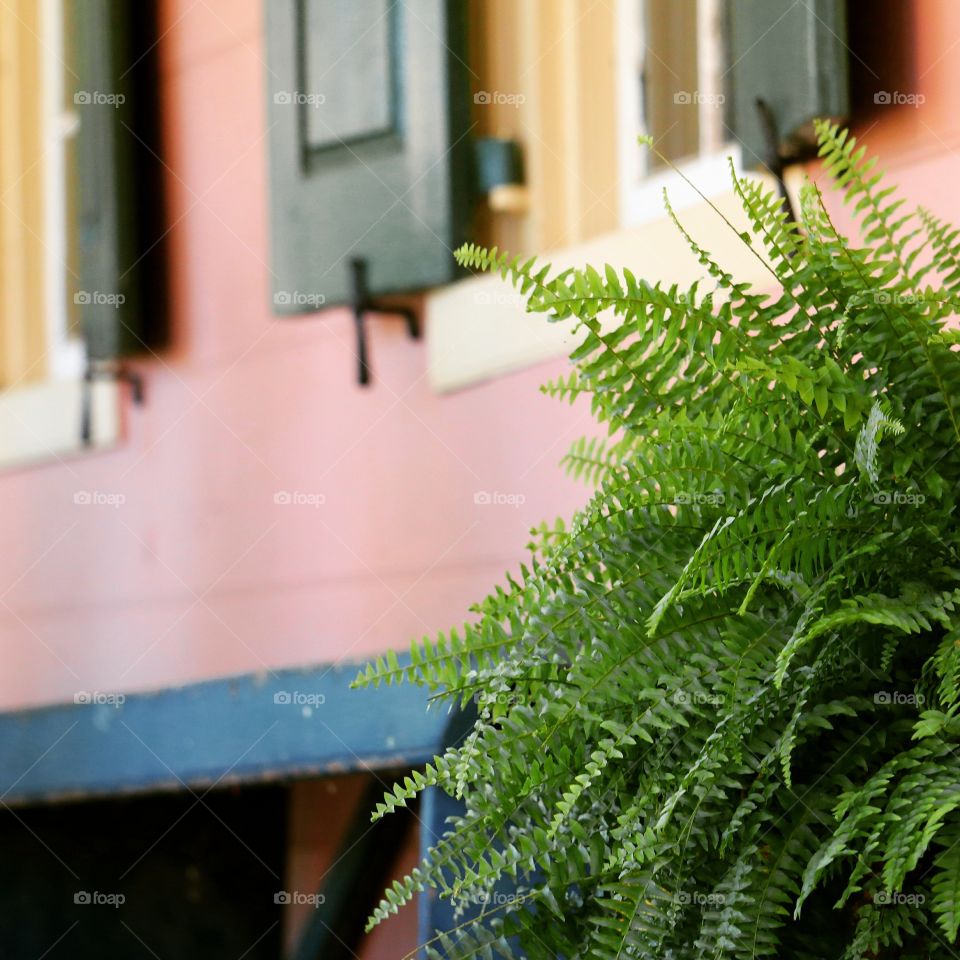 front porch