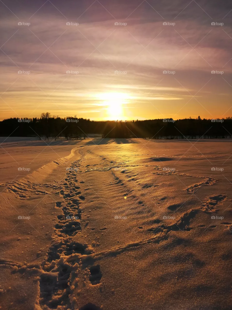 sunset