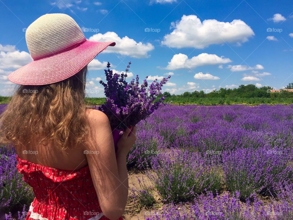 Lavender field