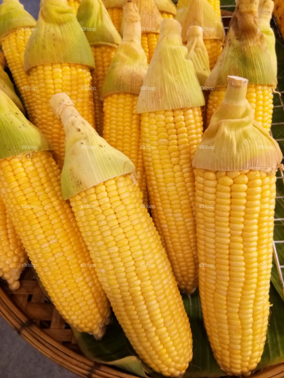 corn
vegetable
food
health
good