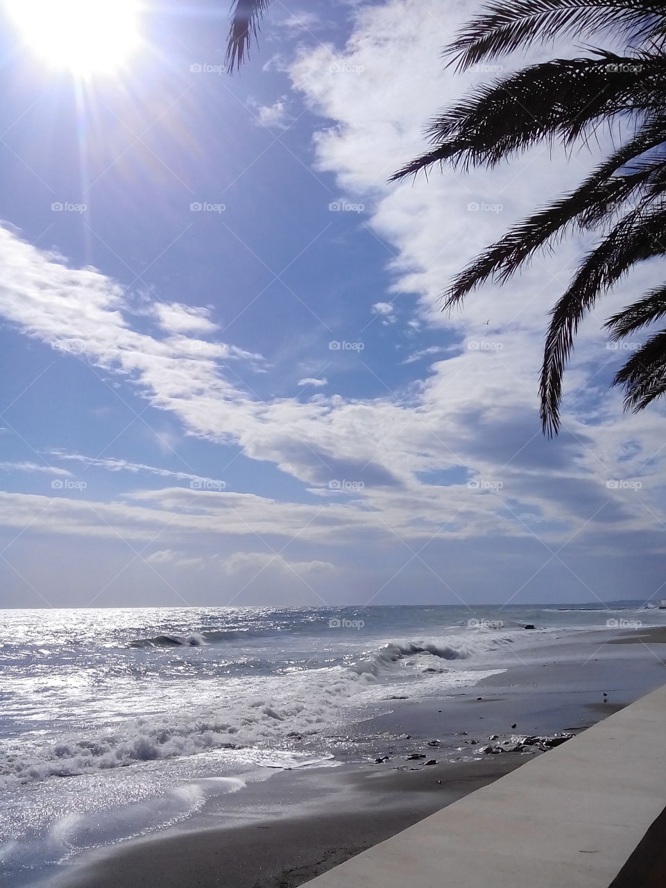 Dreamful holiday: sun, sea, palm trees 😊