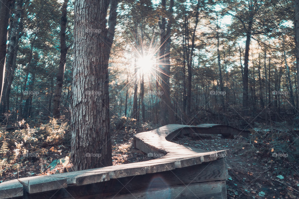 Uxbridge, Ontario- trail exploring.