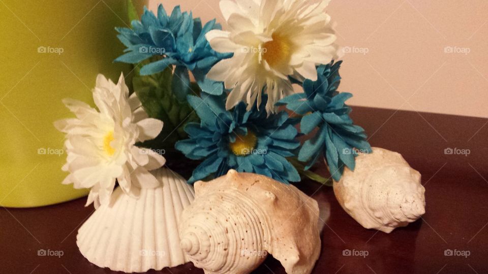 flower sea shells decor