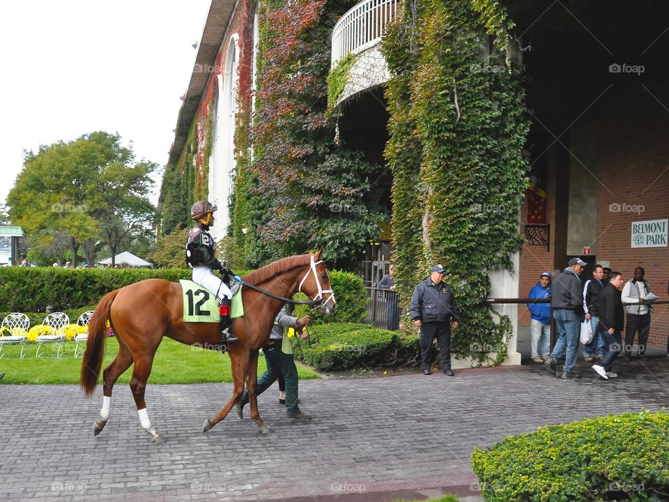 Belmont Park Thorny Tale