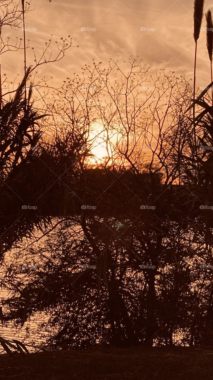 Moving along on the wonderful lake bed cover I use to make fantastic sunset photos. What a heavenly spot to take so many beautiful scenic photos.