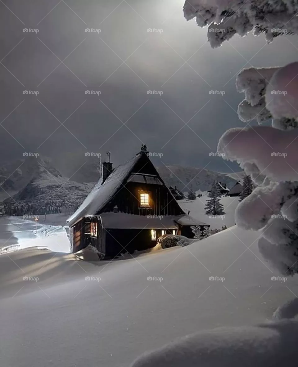 natural Ace place housing