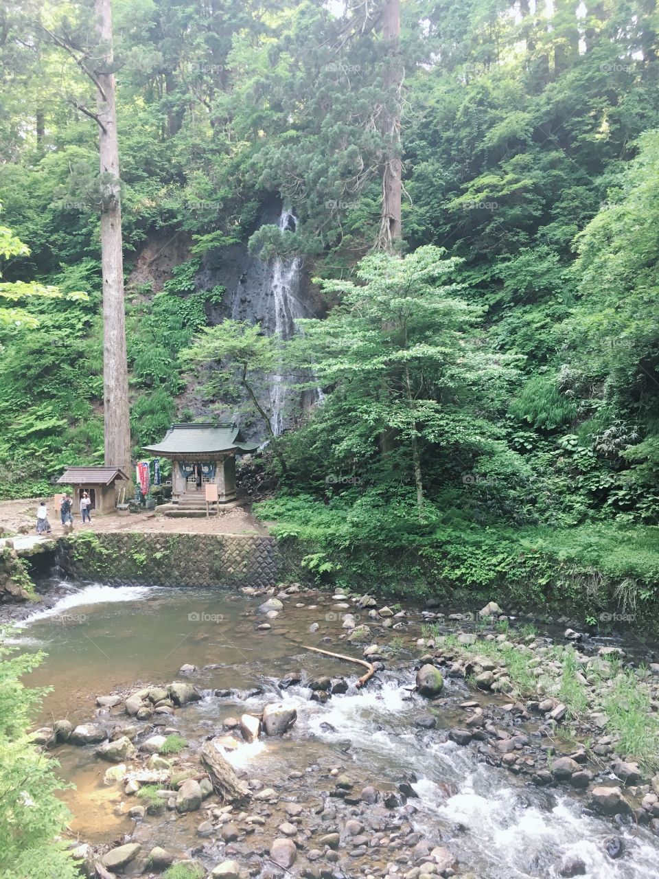 This photo is Japanese waterfall.beautiful nature.