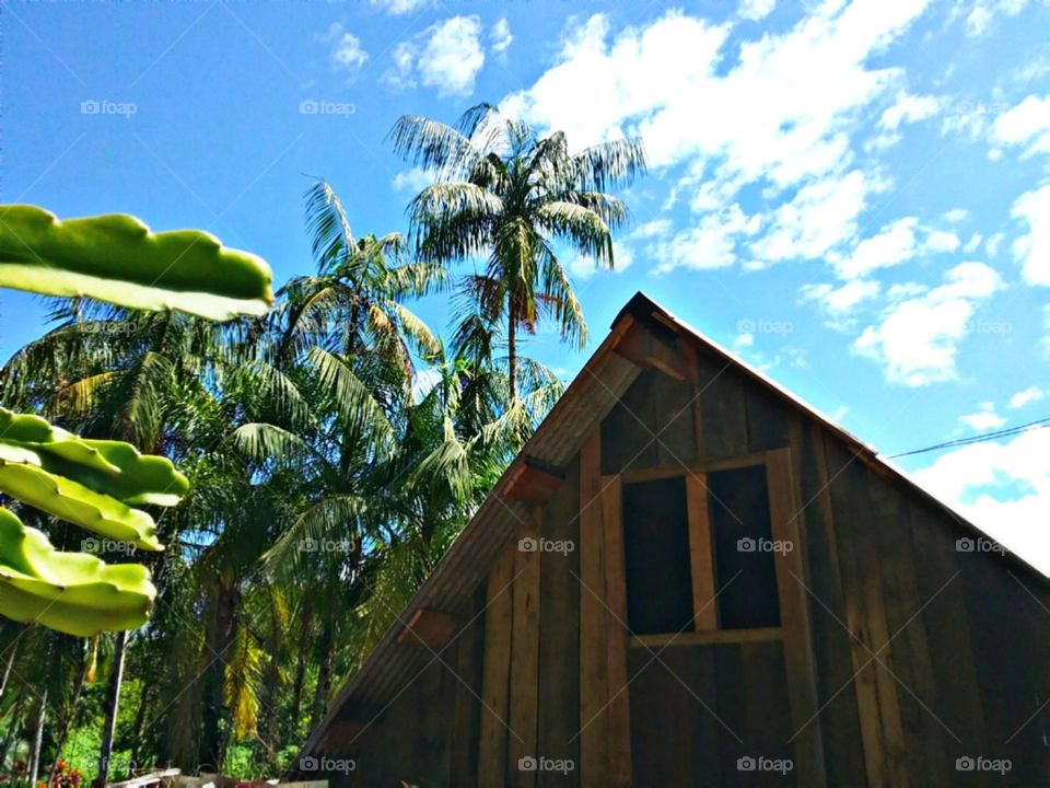 Telhado alto e elegante