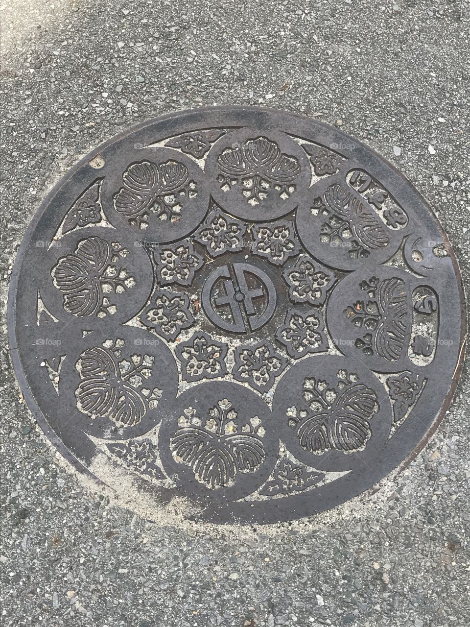 I am on a quest to find Japan's artistic manhole covers.