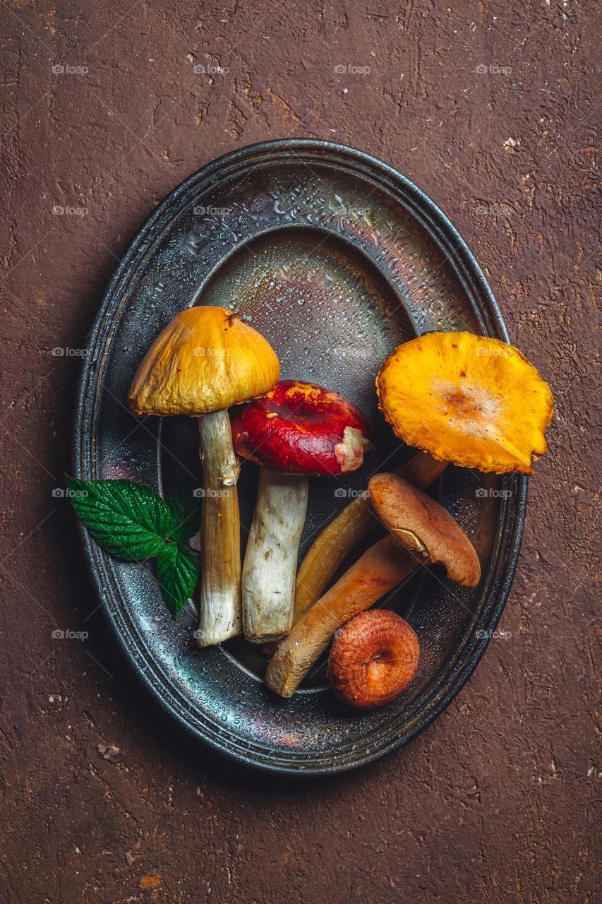 autumn gifts of nature - colorful bright fresh forest mushrooms photographed in a low key. Artisanal harvesting. Autumn season. Walking in the woods. Mushrooms - chanterelles, honey mushrooms.