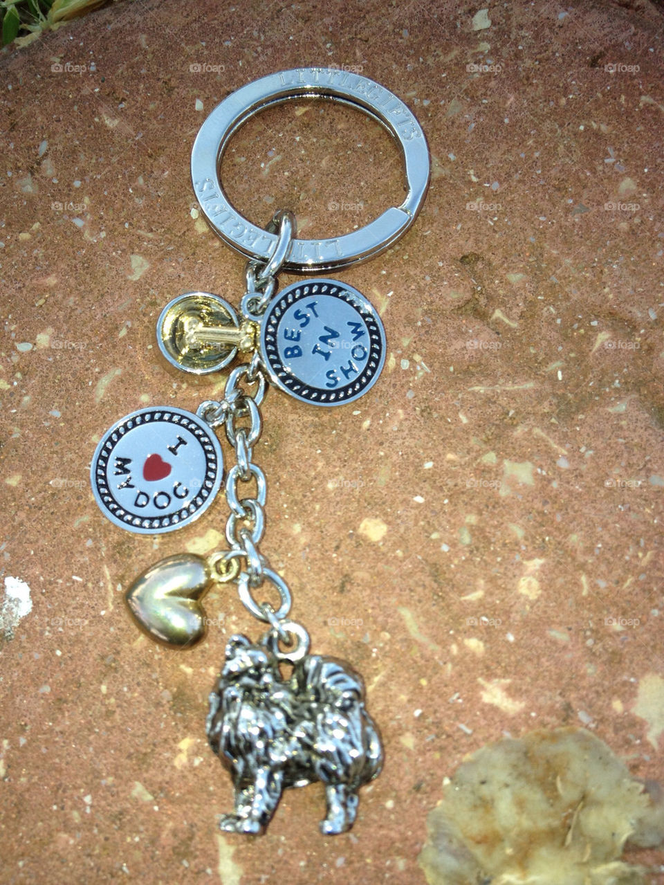 dog love best key by msp80