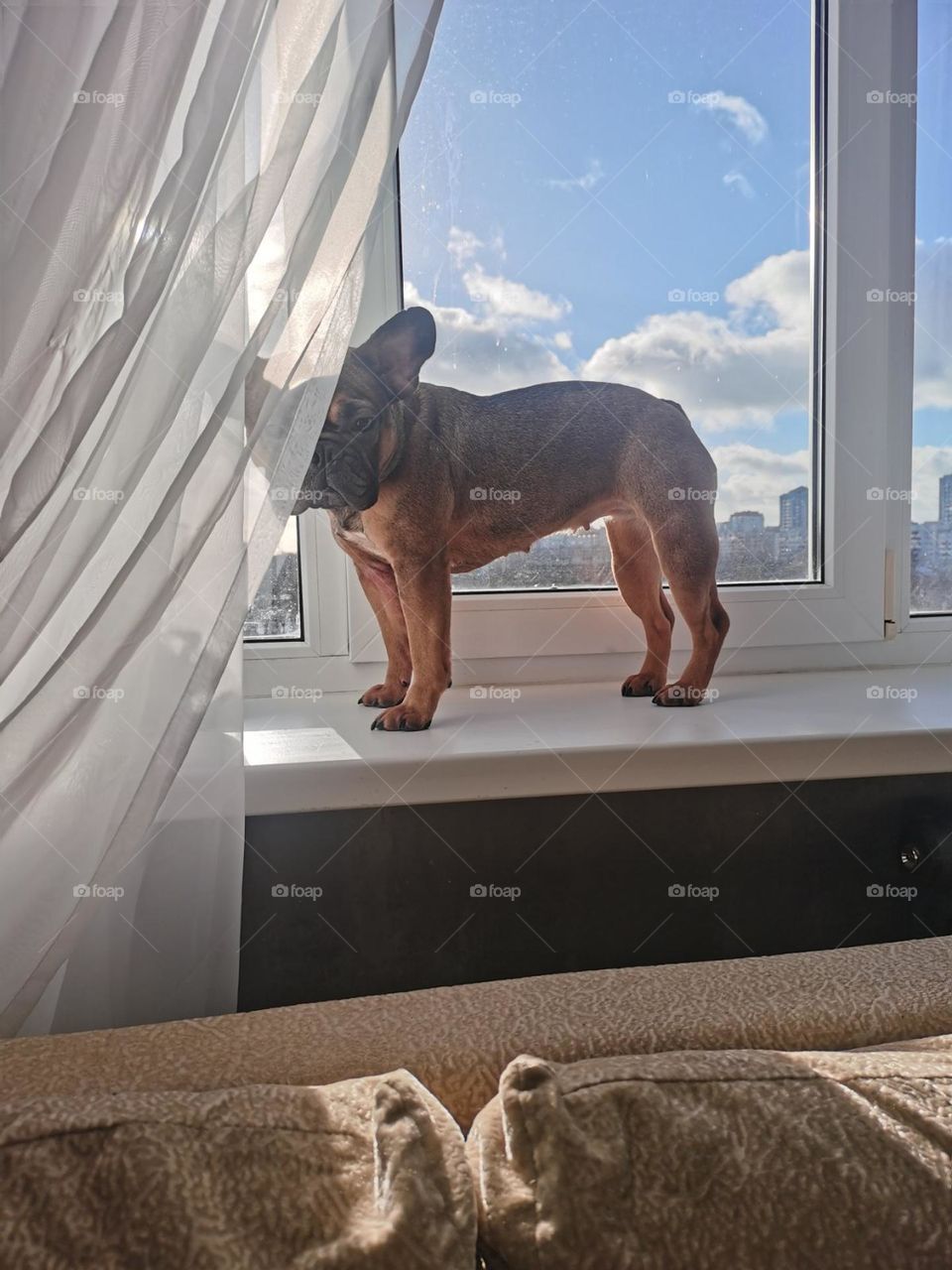 Всё такое интересное