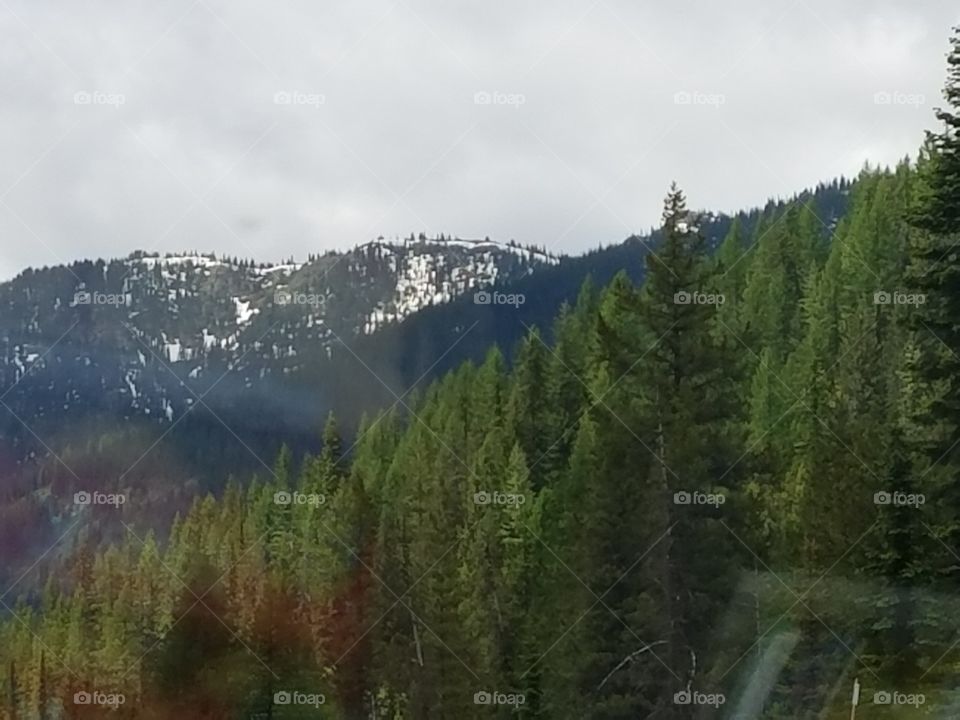 Snow Capped  MTs in June