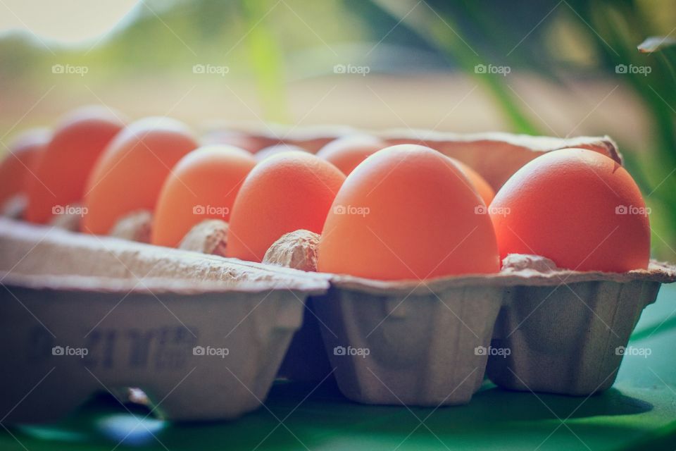Chicken eggs in carton