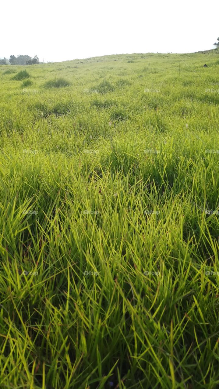 BBB.sky nature's Greenland and grassland summery fress morning ... walking a way .o..on wondering .. out door .. views.~~~