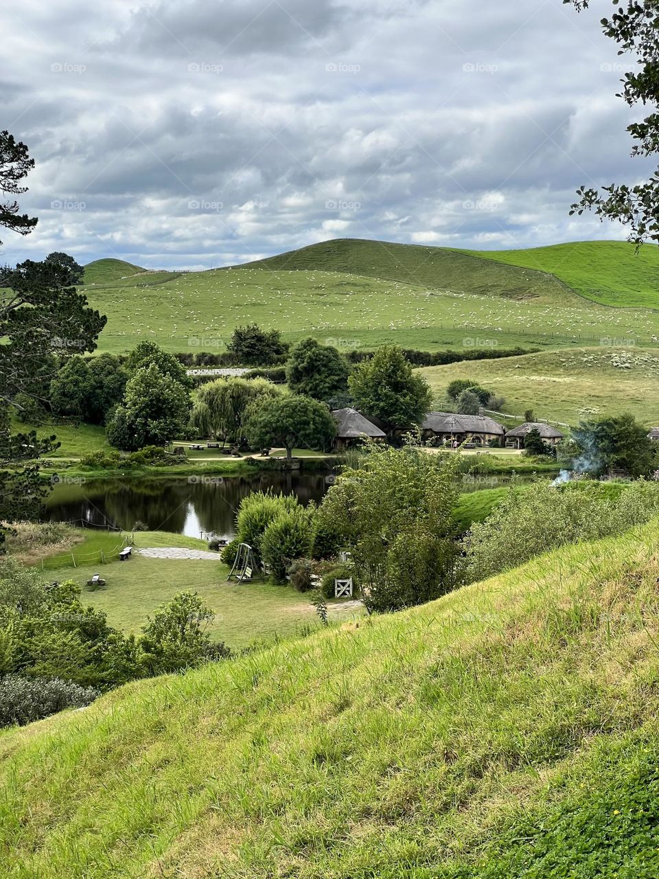 Rolling hills in New Zealand’s Hobbiton 