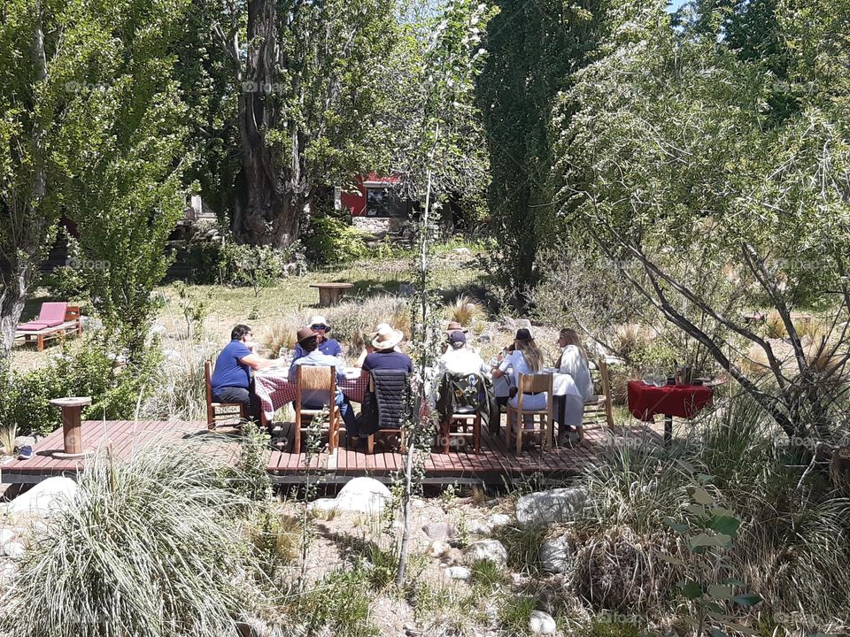 personas en picnic