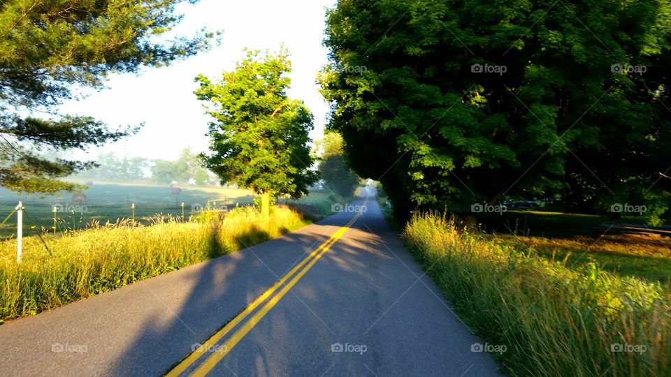 Rural road scene