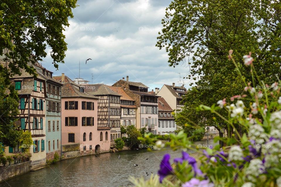 The Rhine and petite France 