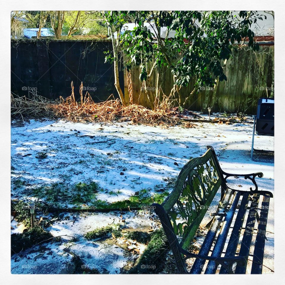 Winter yard