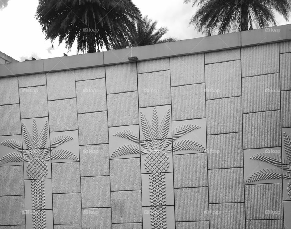 Palm Tree Walls