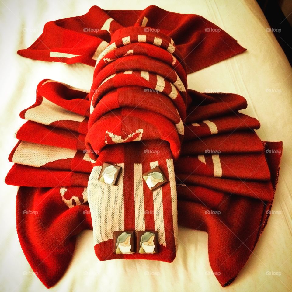 Lobster blanket