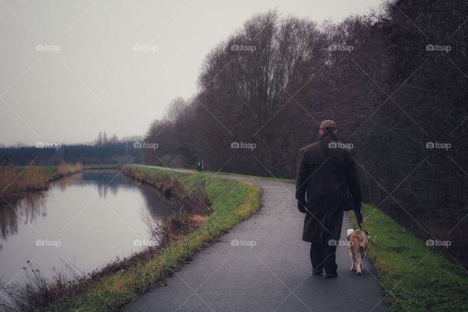 Walking man human dog bulldog bullies canal water river outdoor cold winter grey cloudy coat jacket leash nature creation spend time tree back fog environment way road street exercise 