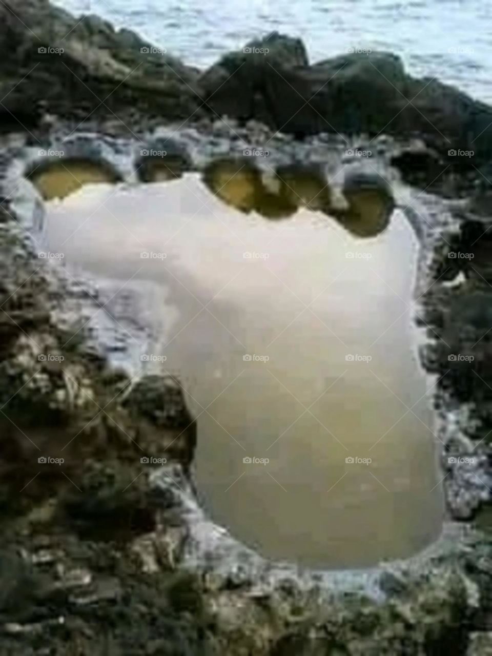 A most beautiful and attractive view in the forest.