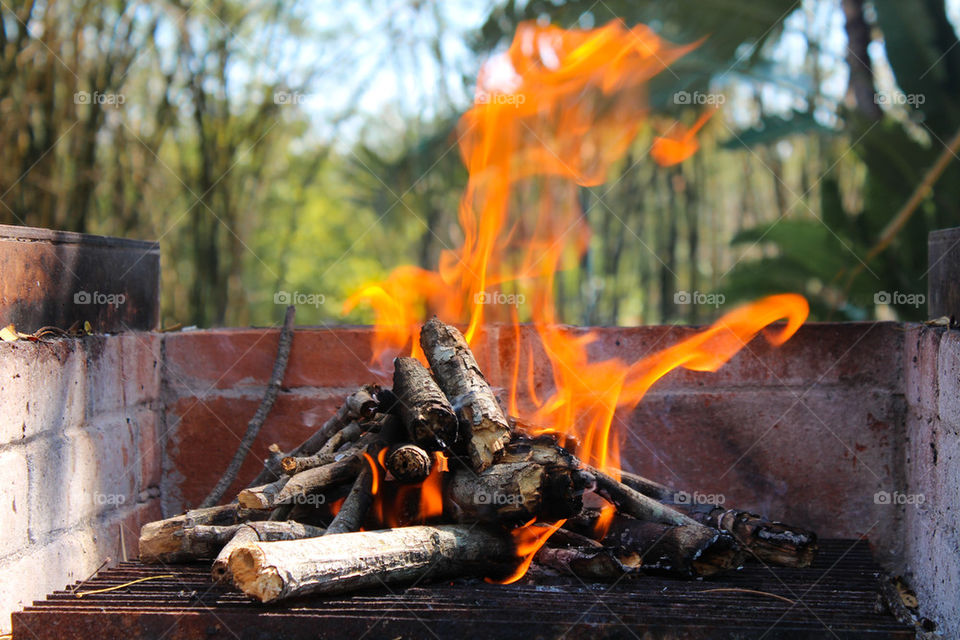 Wood fired oven