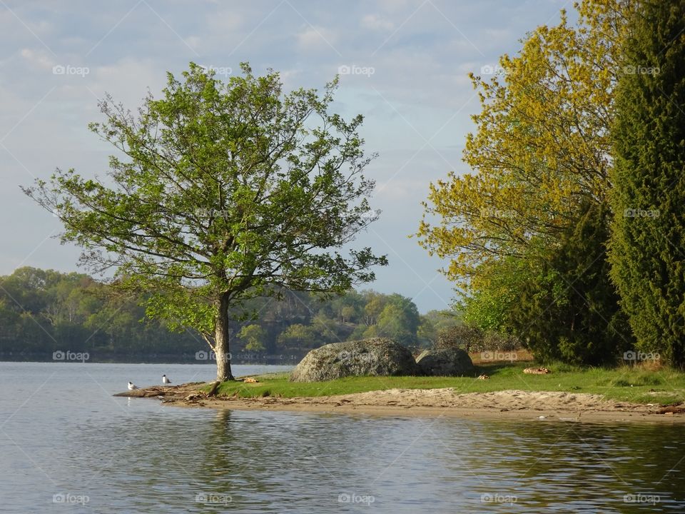 Love Island, Slättanäs