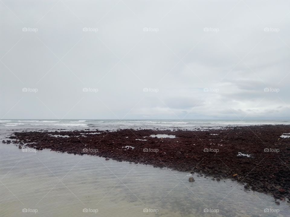 low tide carpet of stones and corals