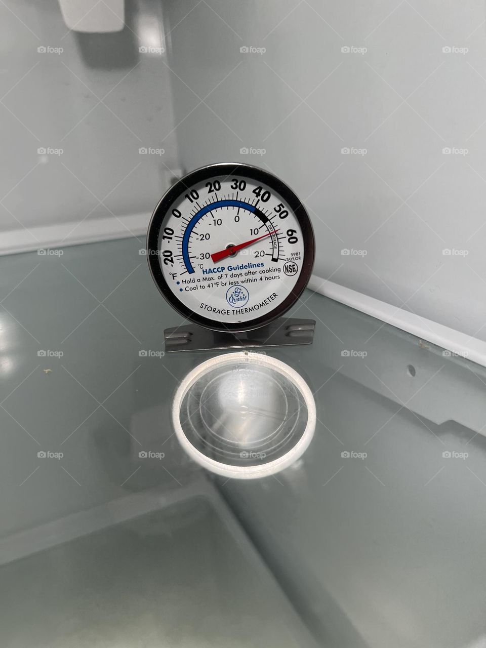 Refrigerator thermometer 