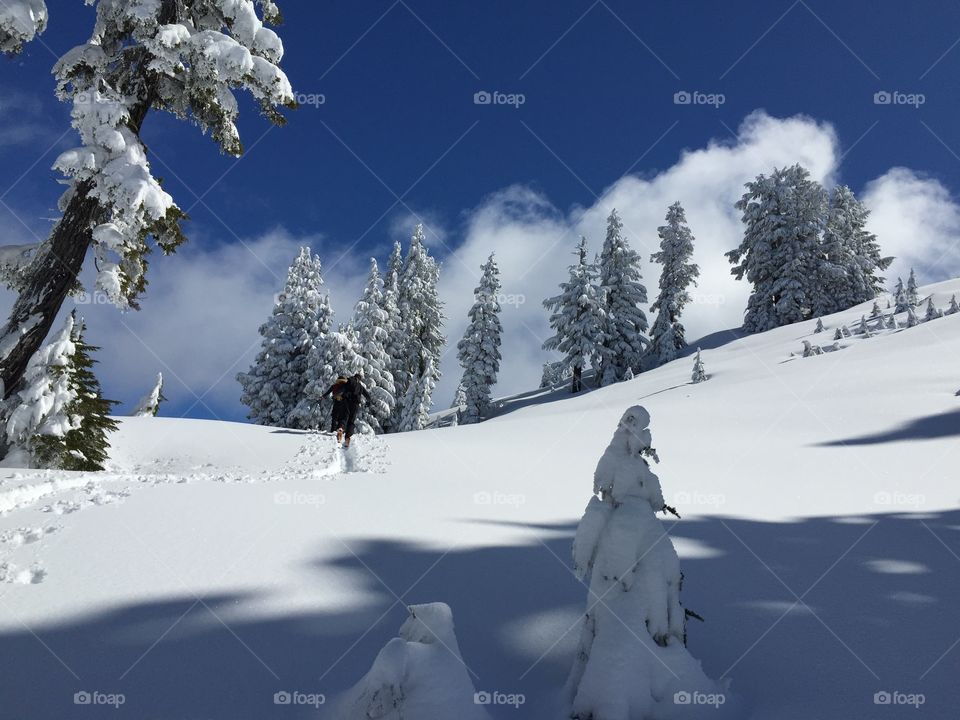 Snow, Winter, Cold, Ice, Frost