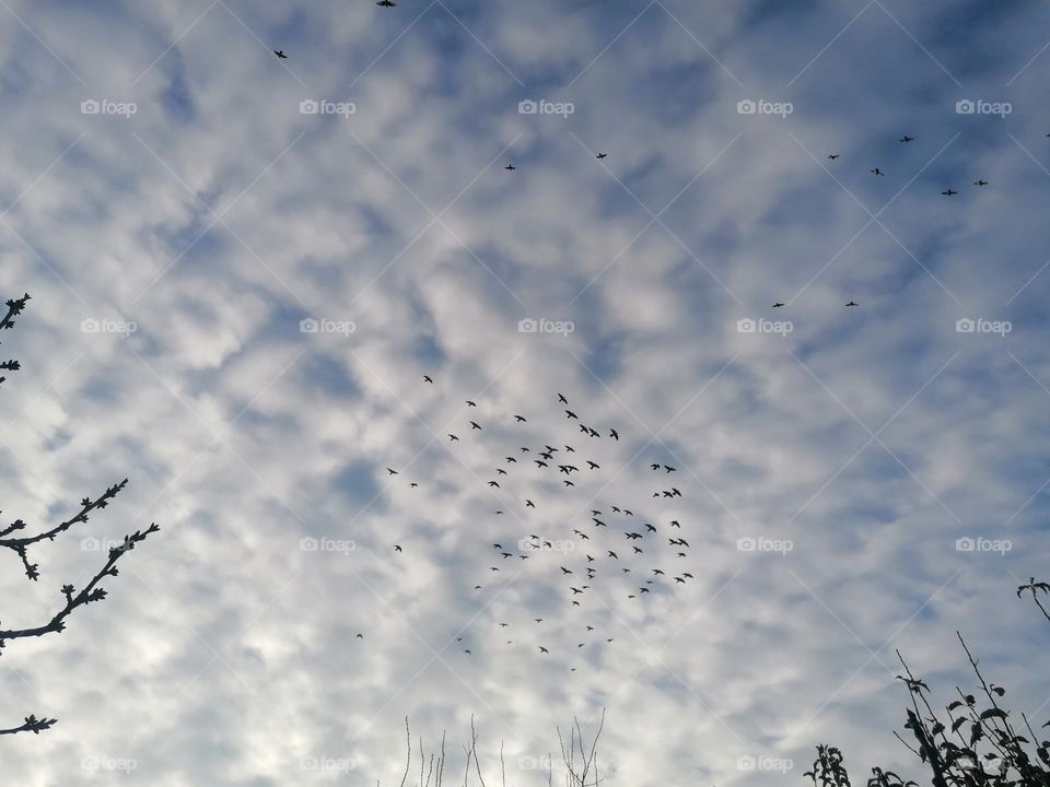 Autumn view of the sky