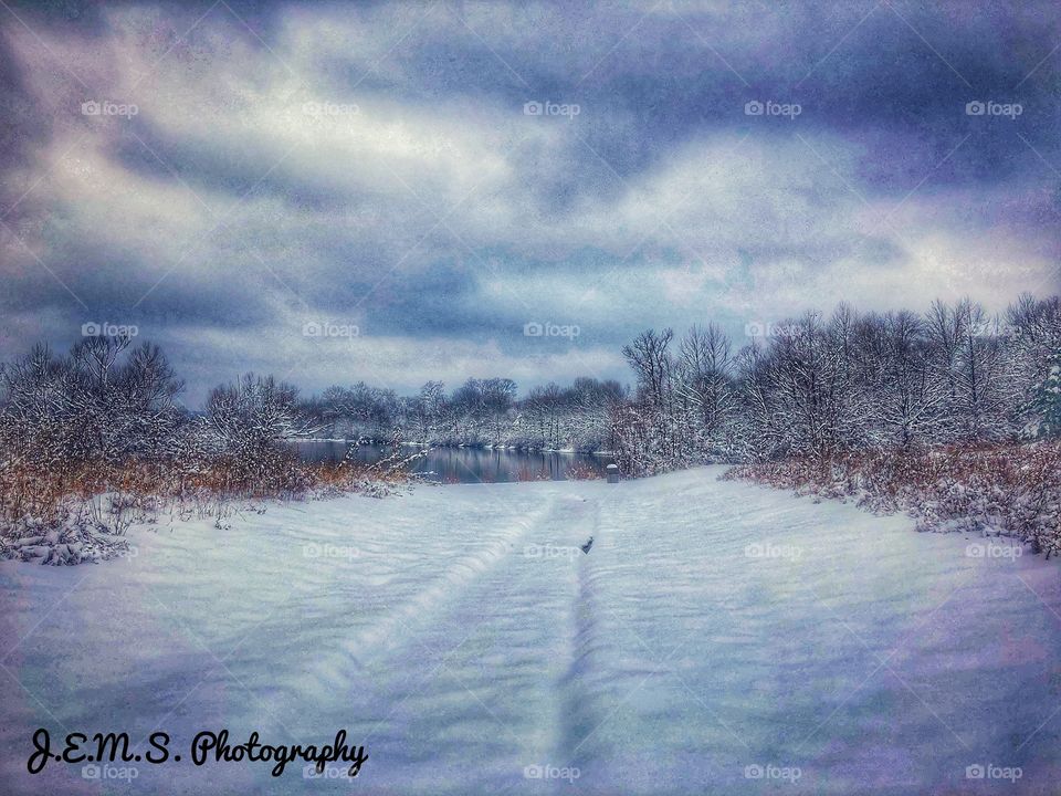 Winter, Snow, Nature, Landscape, Dawn