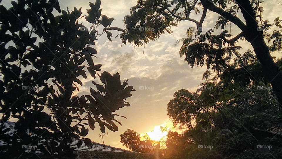 Afternoon at the end of the village