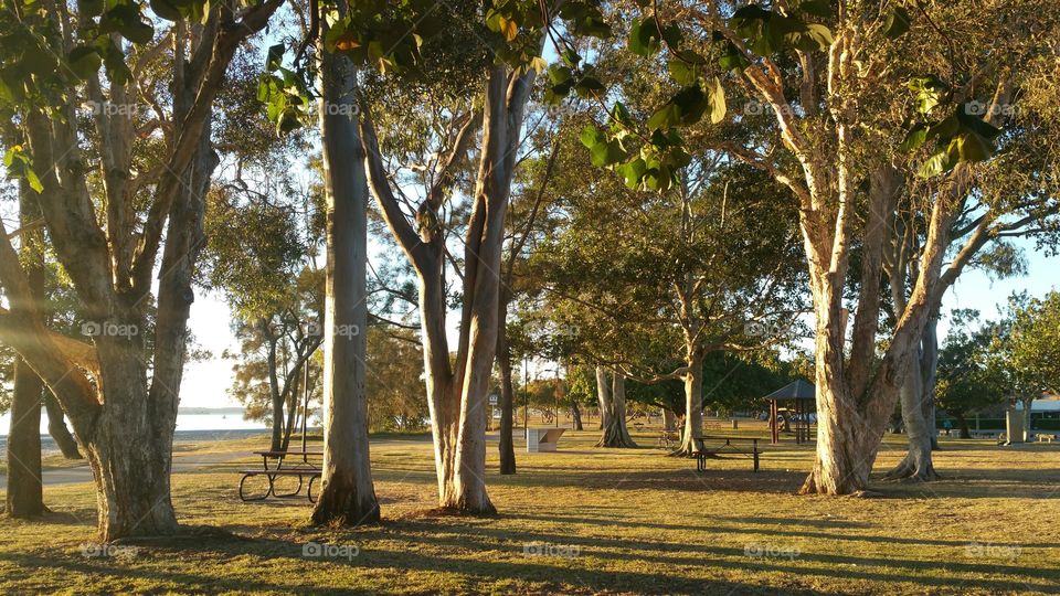 Picturesque Scenic Park View