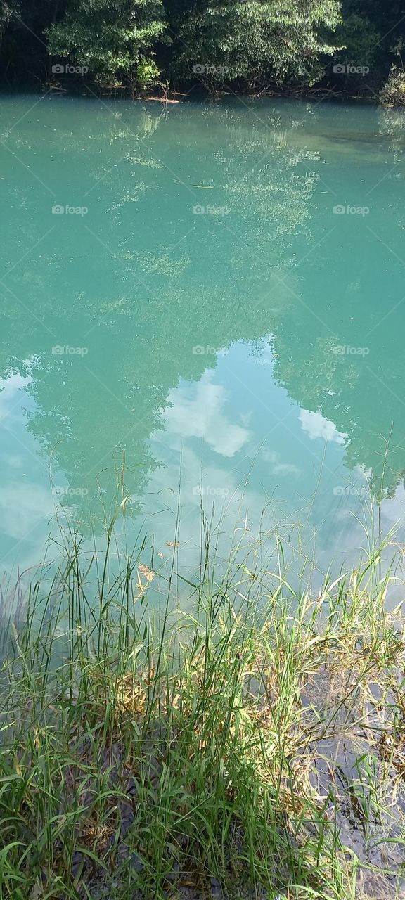 nature reflecting in water