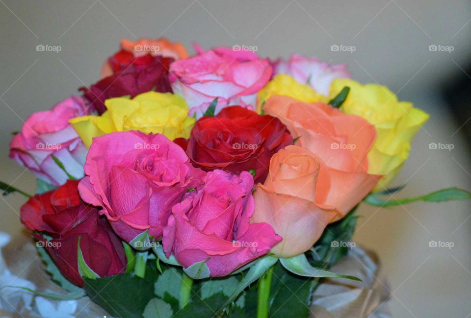 bouquet of roses