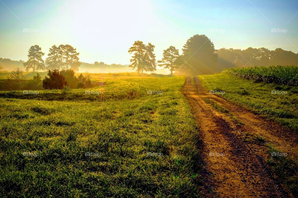 An old dirt road leads to the sunrise. Raleigh North Carolina. 