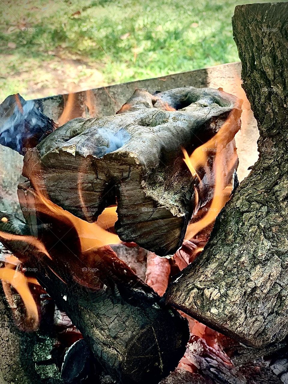 Burning wood- fire- barbecue 