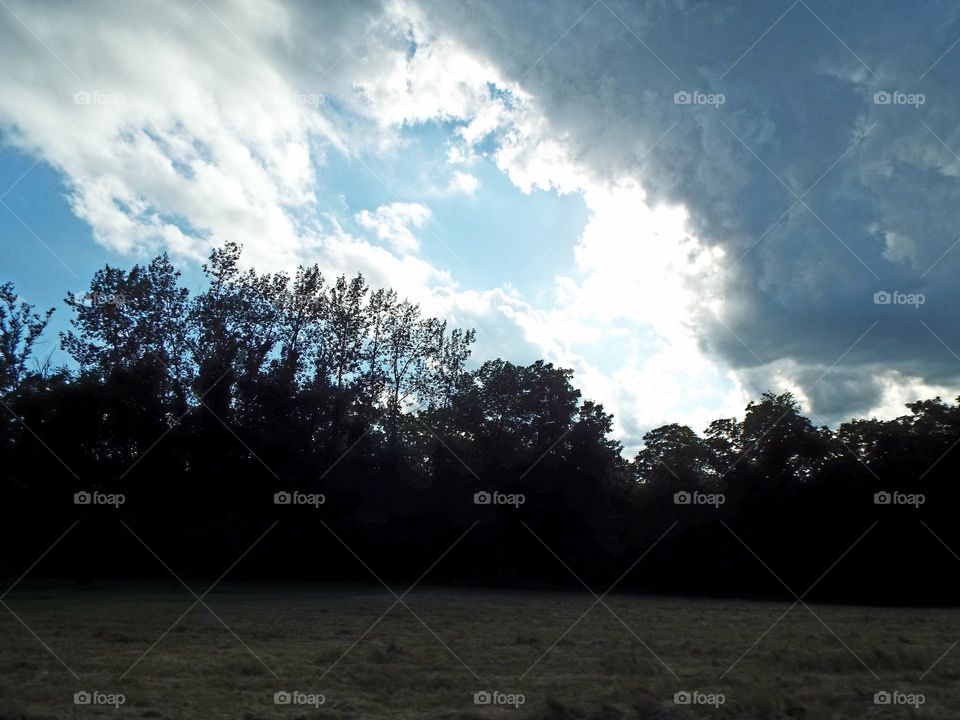 Clouds in the Sky way up High