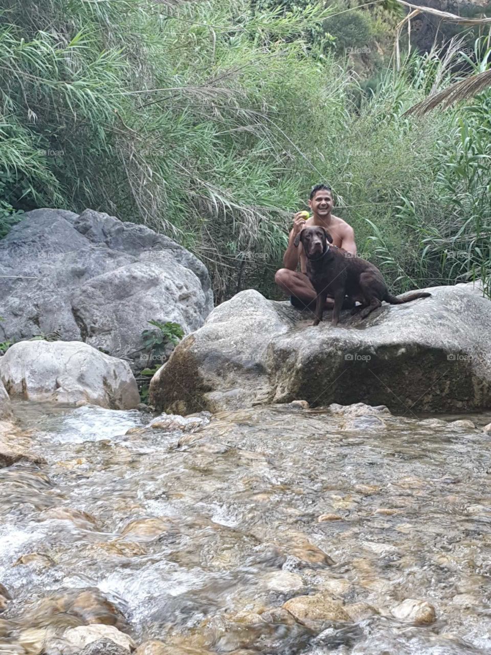 Lake#nature#labrador#dog#pet#human#smile#funny