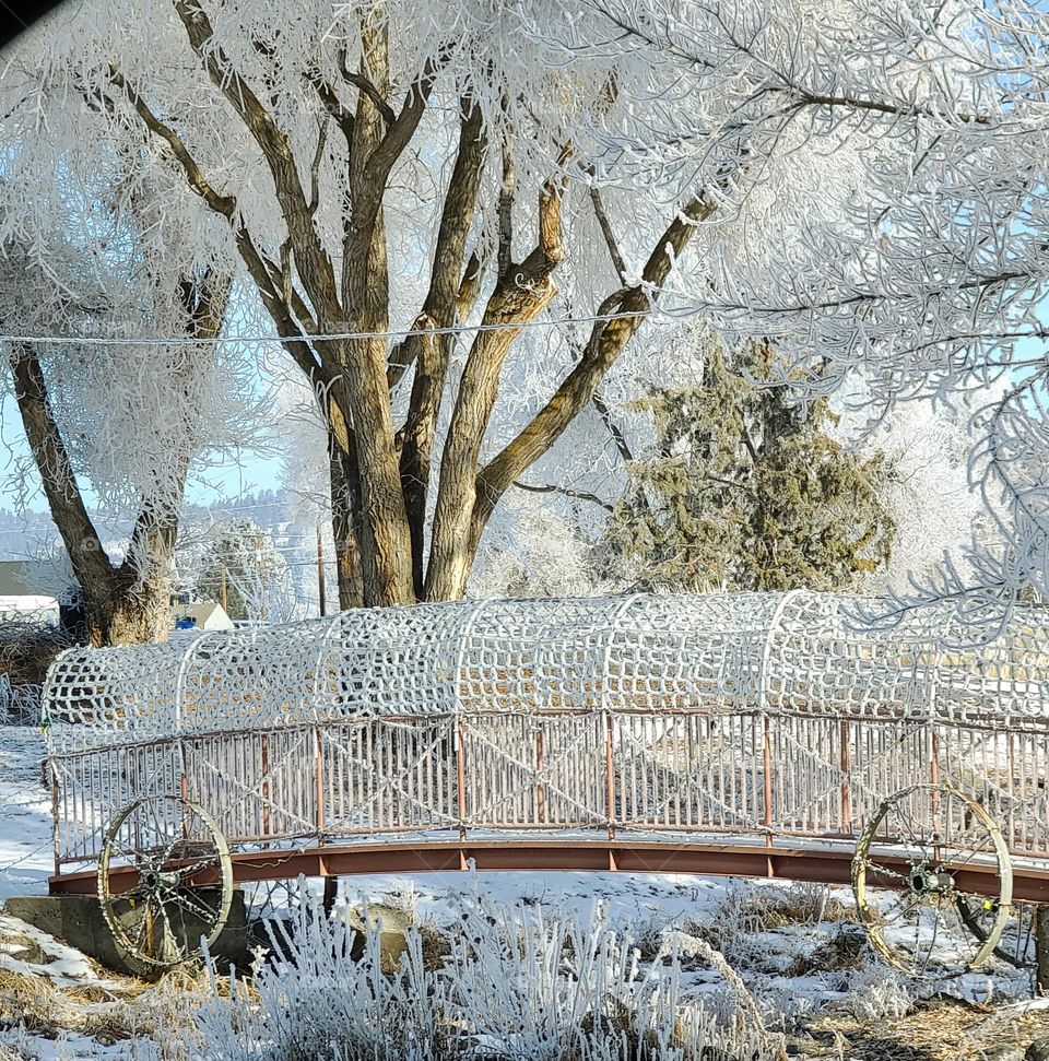 Frosty covered wagon bridge