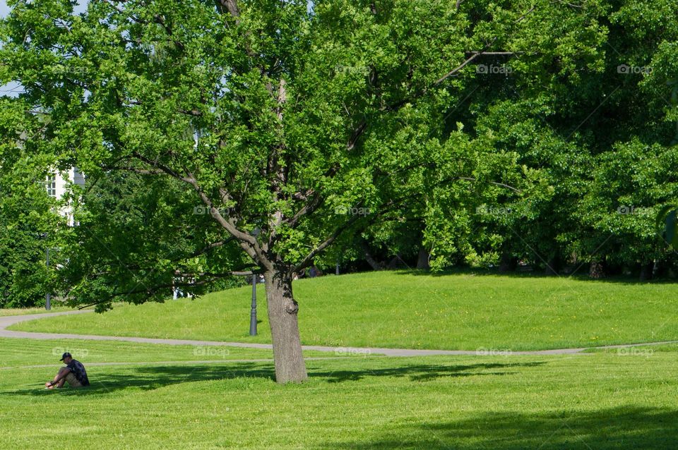 Park