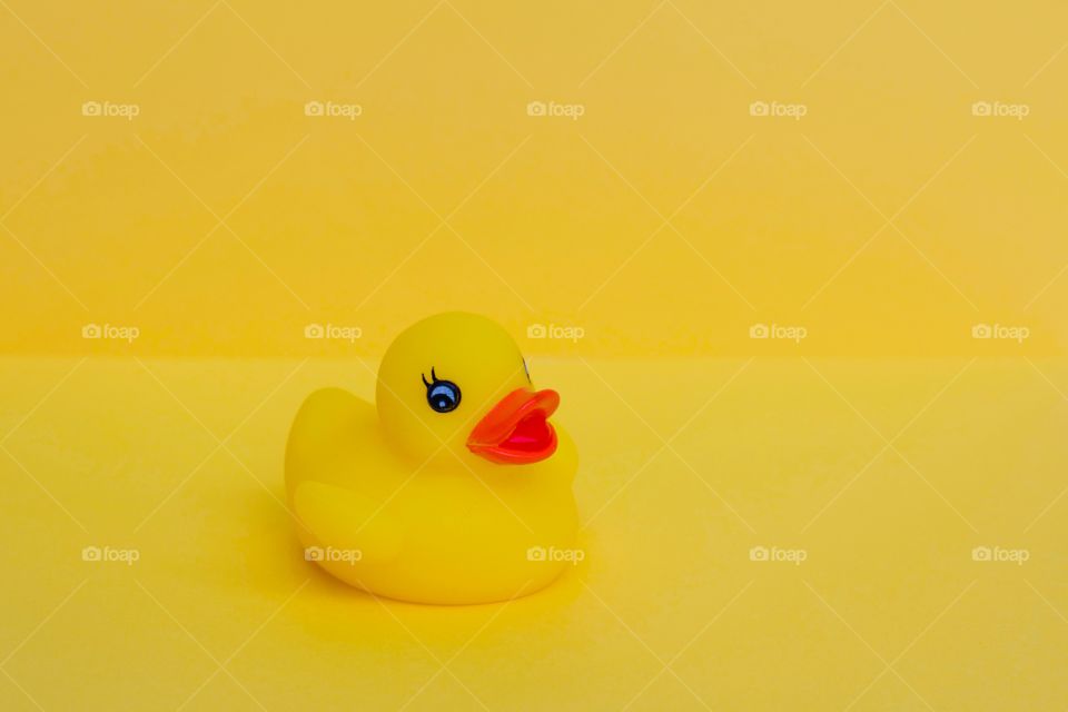 Yellow rubber duck on yellow background 