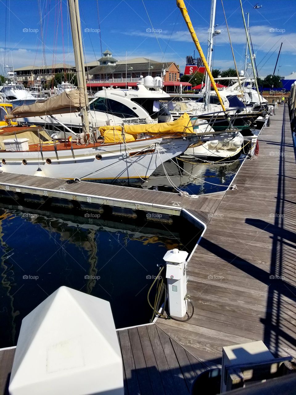 Pensacola Florida Bay