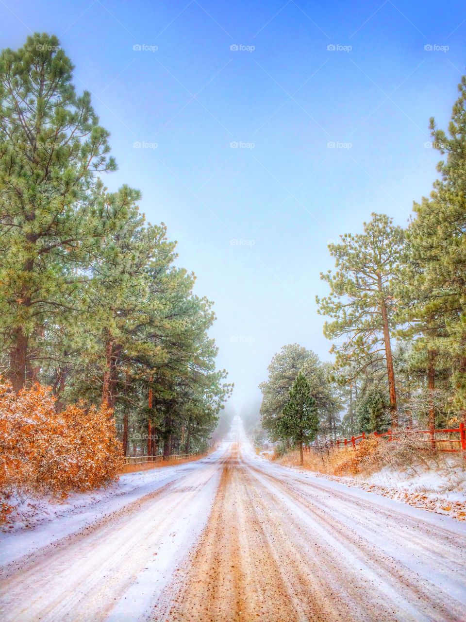 Winter road...