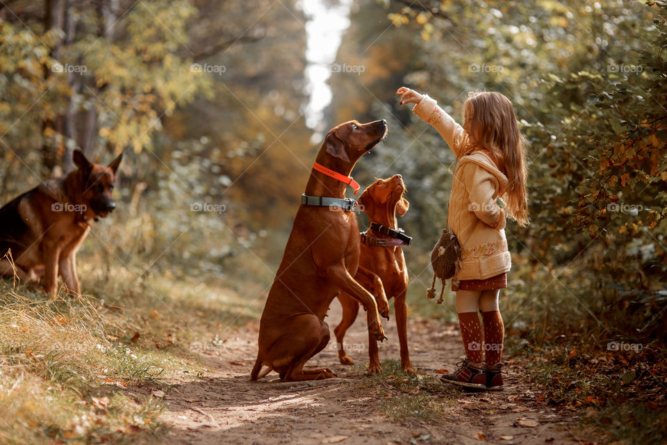 Little girl playing with dogs in an autumn park